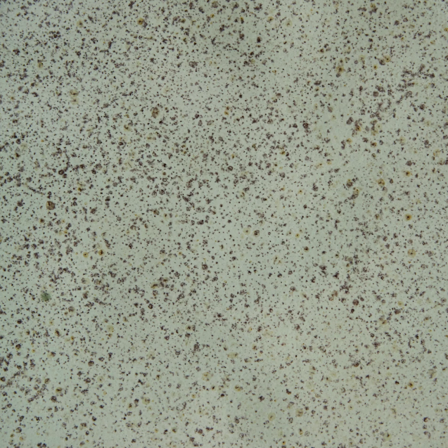 Set x4 plato playo Pistacho - Image 2